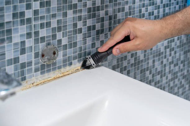 Best Certified Mold Removal  in West Samoset, FL