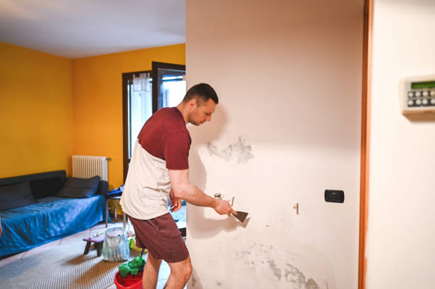 Best Fast Mold Removal  in West Samoset, FL